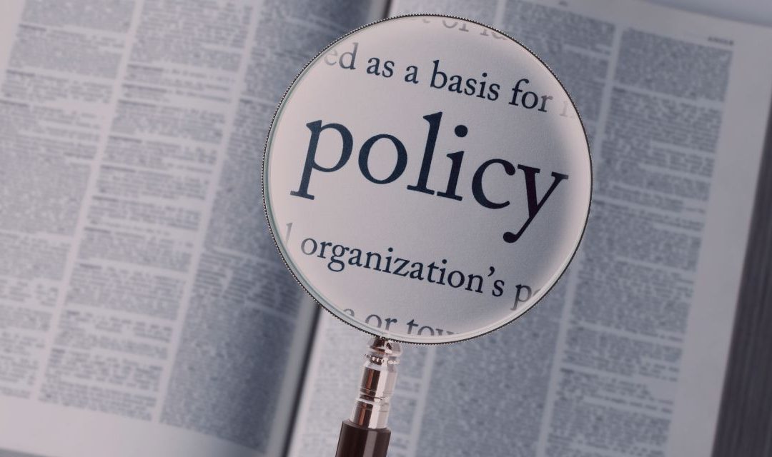 Policy Engagement for Community Development – A Primer